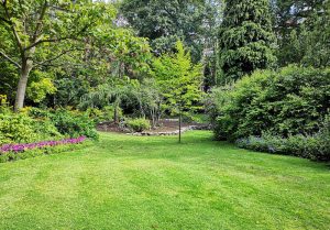 Optimiser l'expérience du jardin à Appenai-sous-Belleme